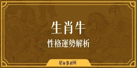 肖牛|生肖牛性格優缺點、運勢深度分析、年份、配對指南